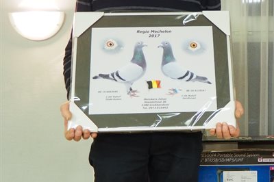 2018-02-16-donckersjohan-2.jpg | Pitts