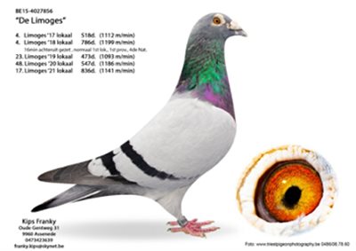 afbeelding2.jpg | Pitts