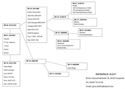 pitts-buffelhok-pitts-be21-3018387-velleke-pedigree.jpg | Pitts