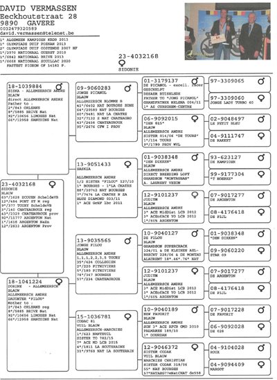 pitts-vermassend-pitts-be23-4032168-sidonie-pedigree.jpg | Pitts