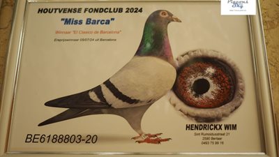pitts-hendrickx-wim-pitts-be01-6188803-miss-barca-foto-2024.jpg | Pitts
