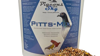 Pitts