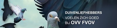 ovv.jpg | Pitts